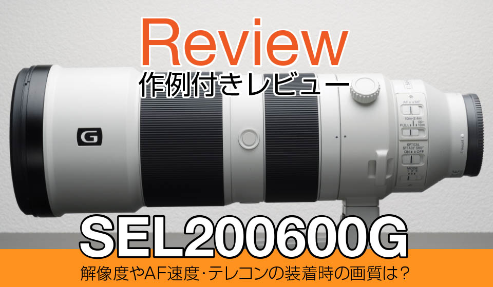 SEL200600G【購入レビュー】テレコン比較や作例あり！