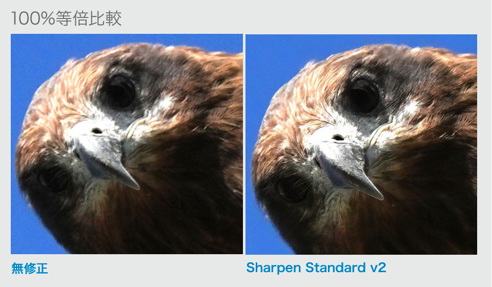 Topaz Photo AI SharpenStandard v2の機能説明